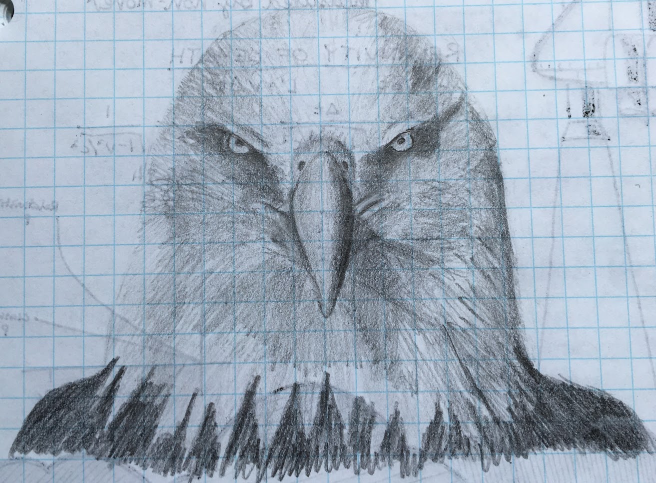 A doodle of an eagle