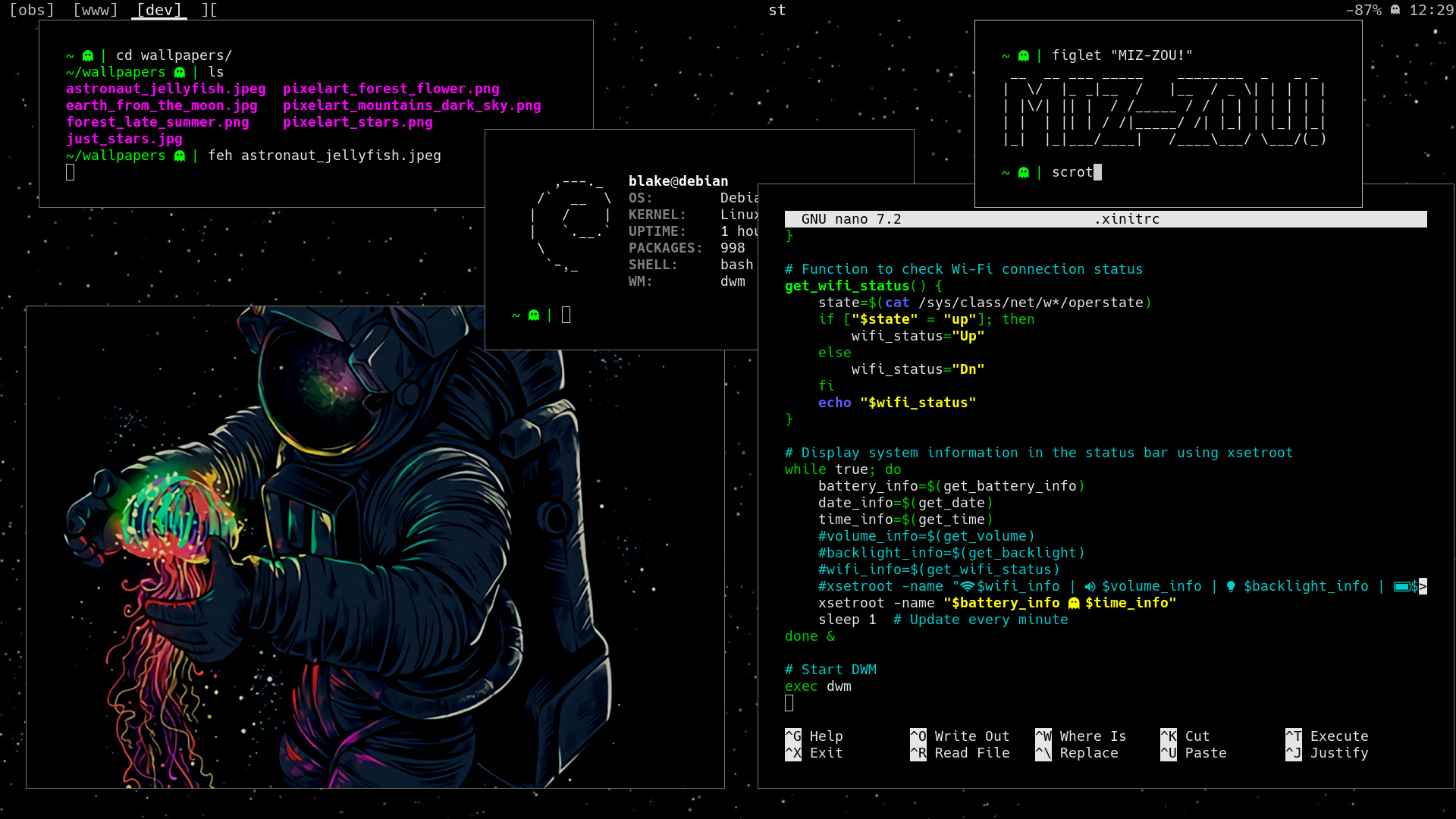 Screenshot of my Linux env running DWM